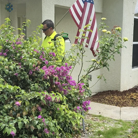 lawn spray