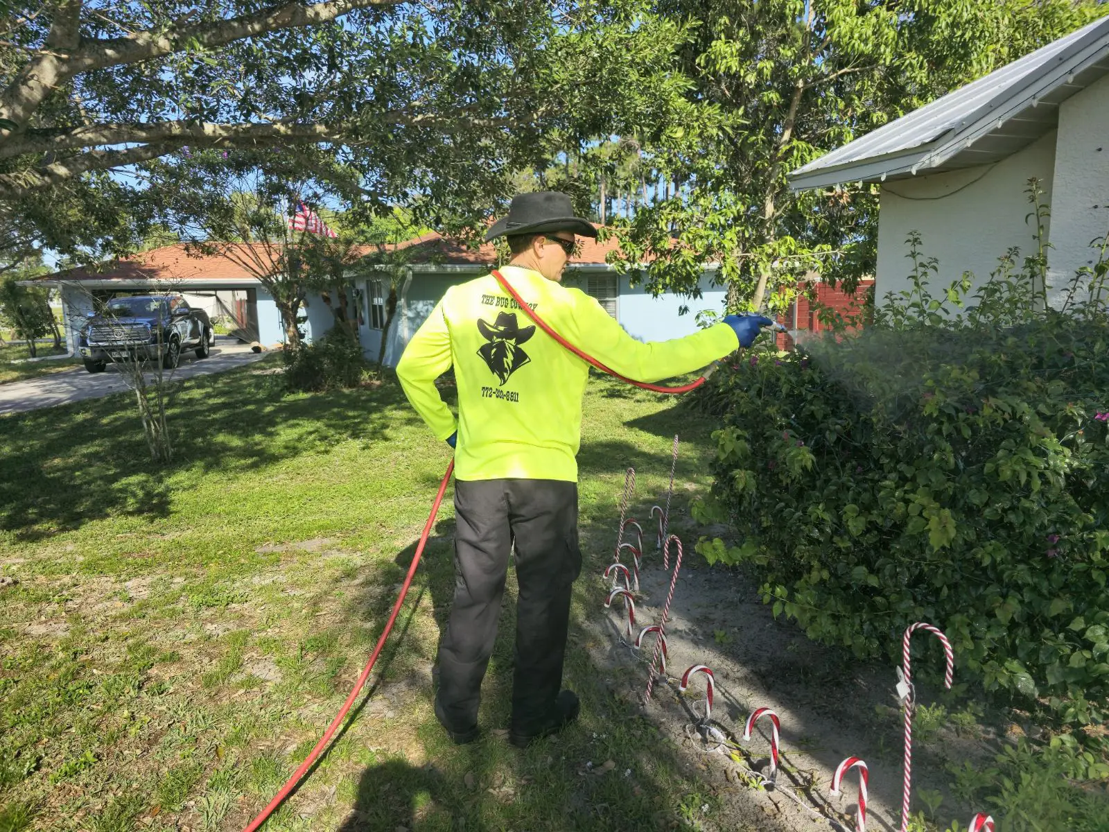 pest control spray
